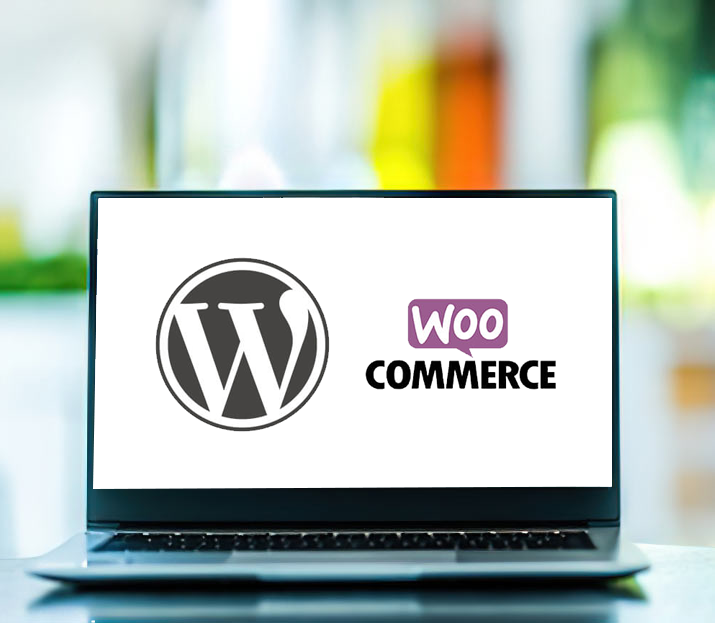 Formation wordPress – Option e-commerce